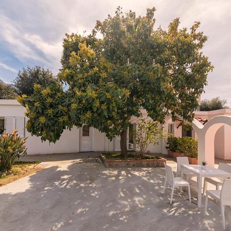 הוילה Forio di Ischia Casa Yucca מראה חיצוני תמונה
