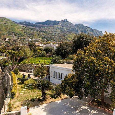 הוילה Forio di Ischia Casa Yucca מראה חיצוני תמונה
