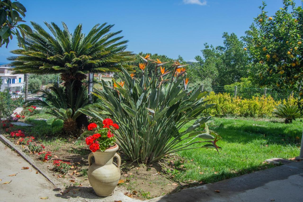 הוילה Forio di Ischia Casa Yucca מראה חיצוני תמונה