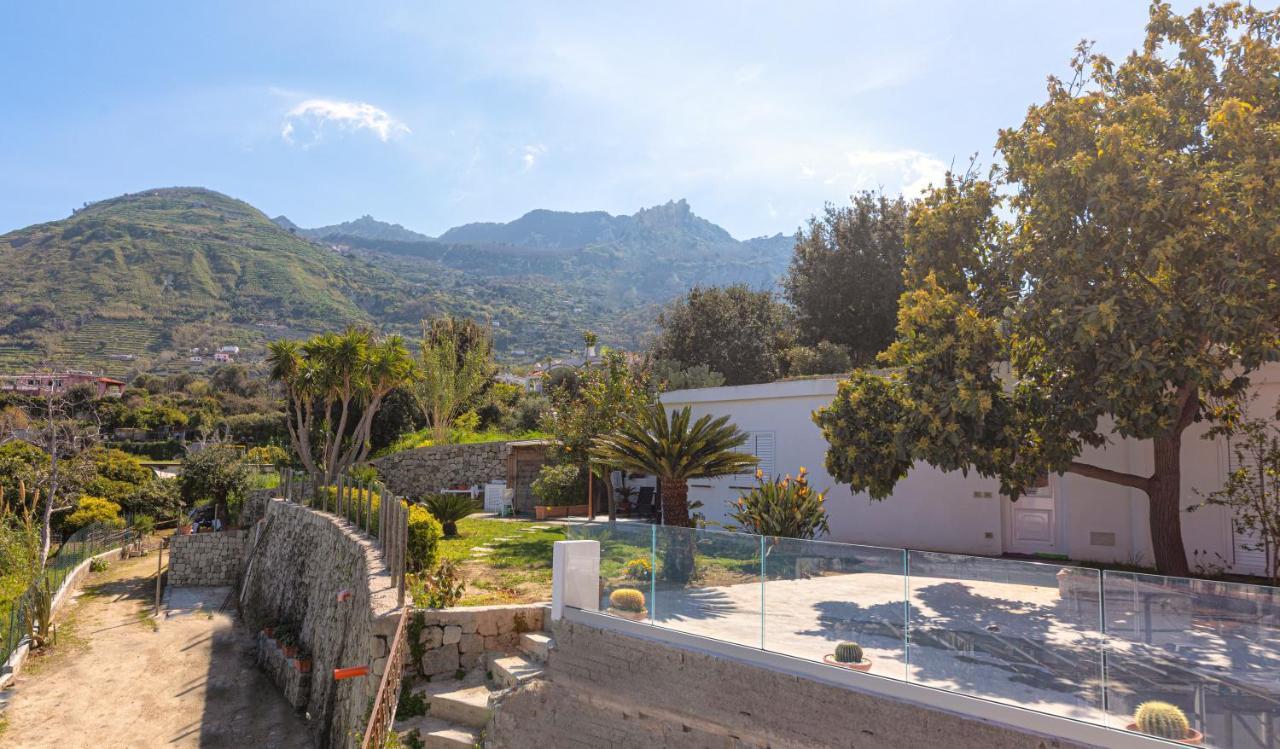 הוילה Forio di Ischia Casa Yucca מראה חיצוני תמונה