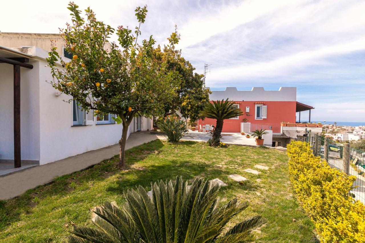 הוילה Forio di Ischia Casa Yucca מראה חיצוני תמונה