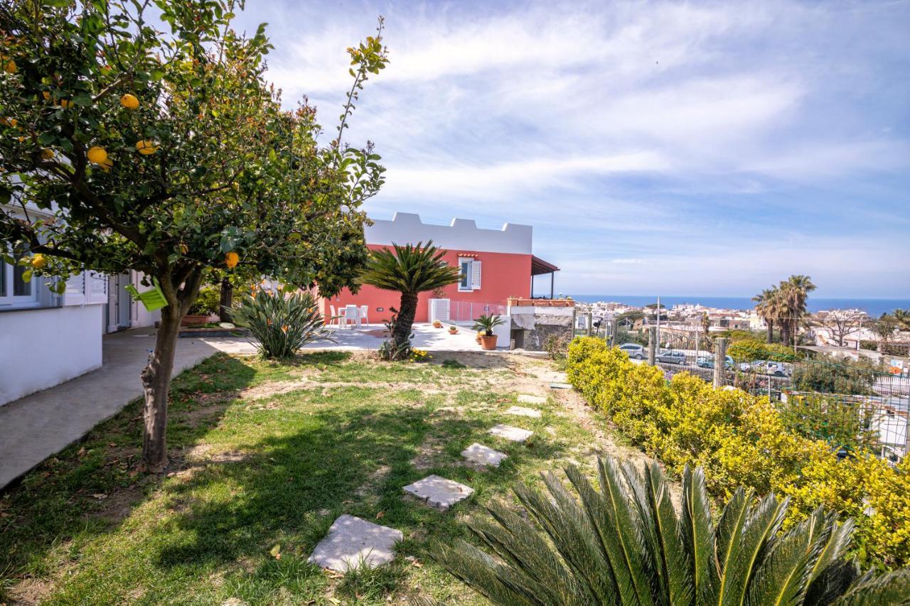 הוילה Forio di Ischia Casa Yucca מראה חיצוני תמונה