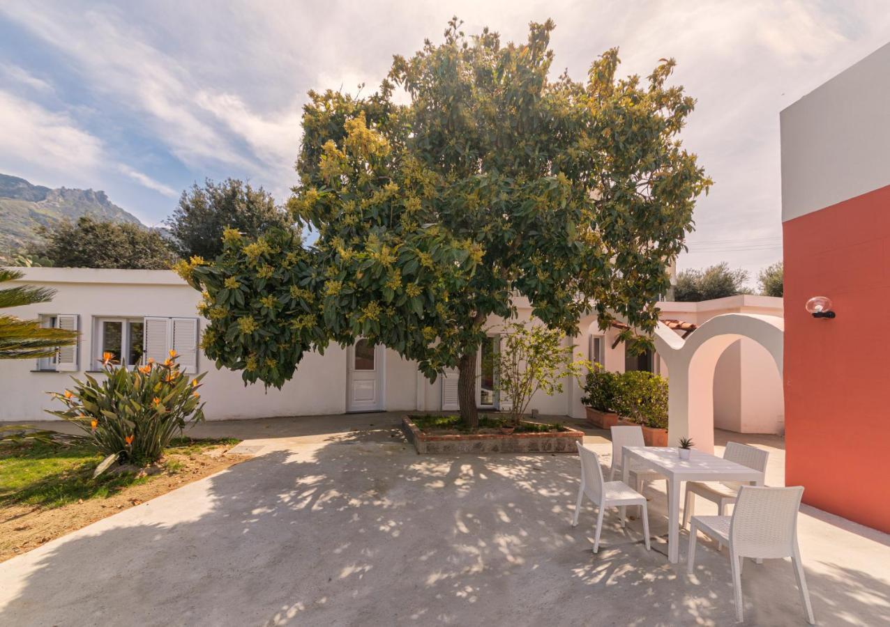 הוילה Forio di Ischia Casa Yucca מראה חיצוני תמונה