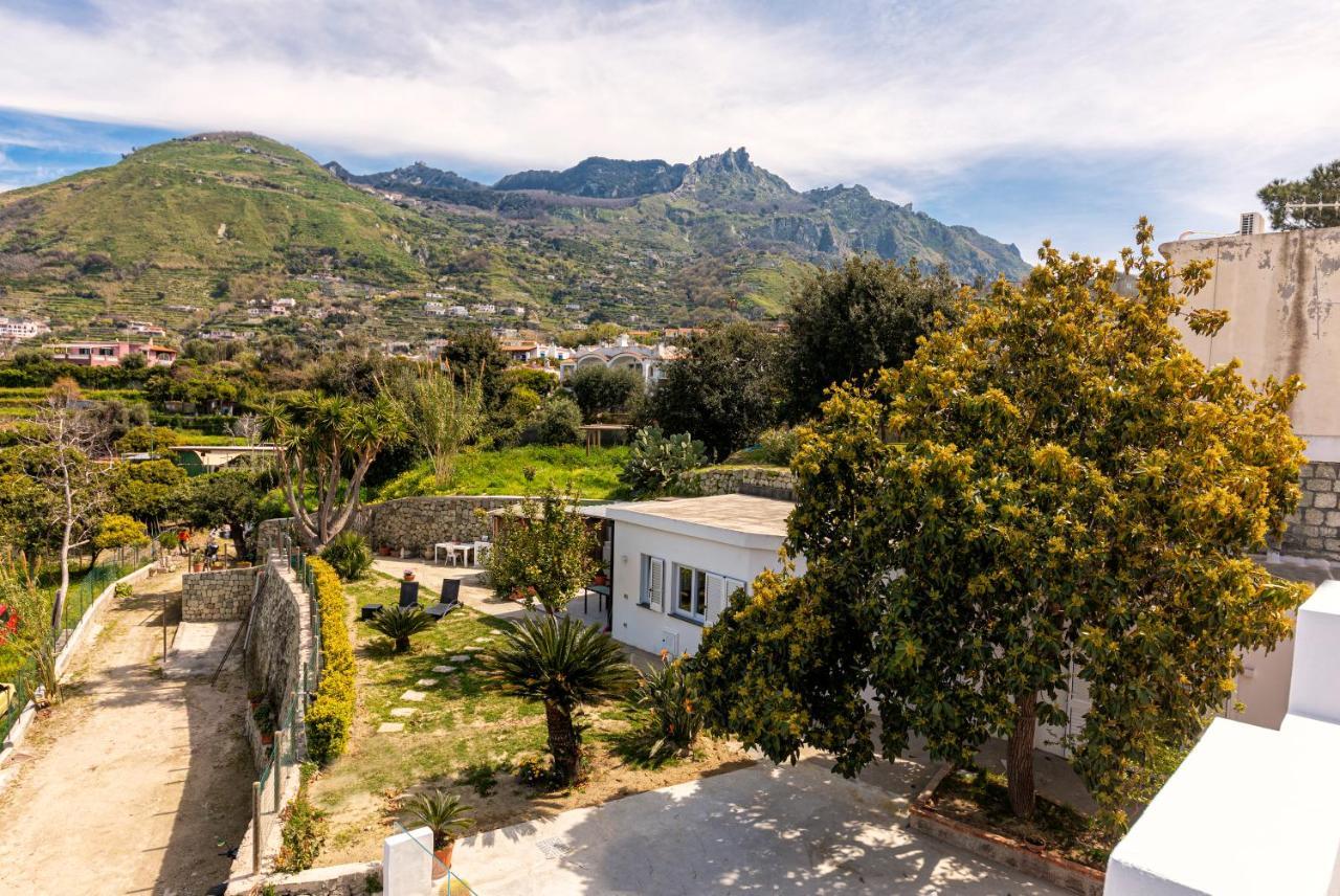 הוילה Forio di Ischia Casa Yucca מראה חיצוני תמונה